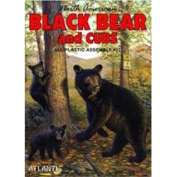 Black Bear and Cubs